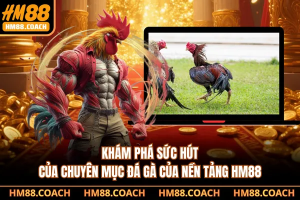 Khám phá sức hút của chuyên mục đá gà của nền tảng HM88