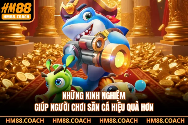 Những kinh nghiệm giúp người chơi săn cá hiệu quả hơn